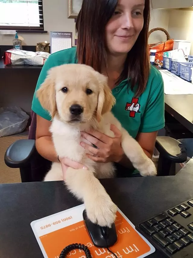 Amity Woods Animal Hospital & Lodge