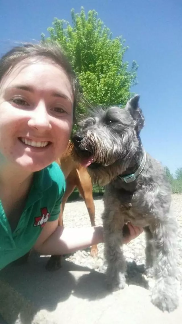 Amity Woods Animal Hospital & Lodge
