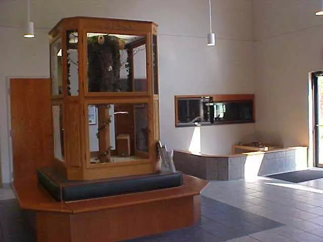 Amity Woods Animal Hospital & Lodge