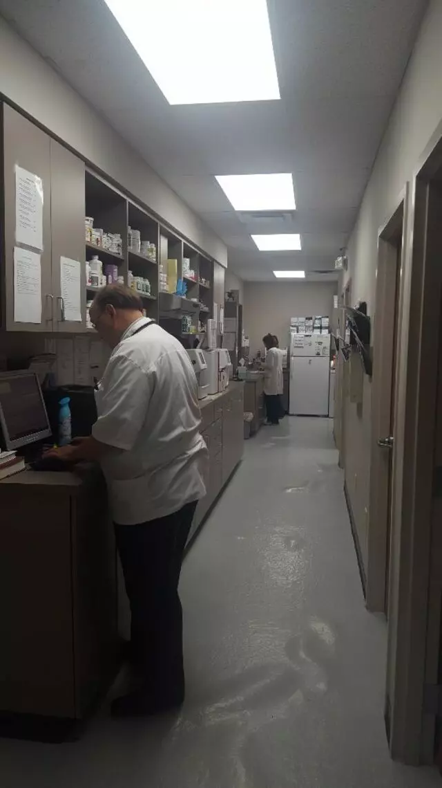 Amity Woods Animal Hospital & Lodge