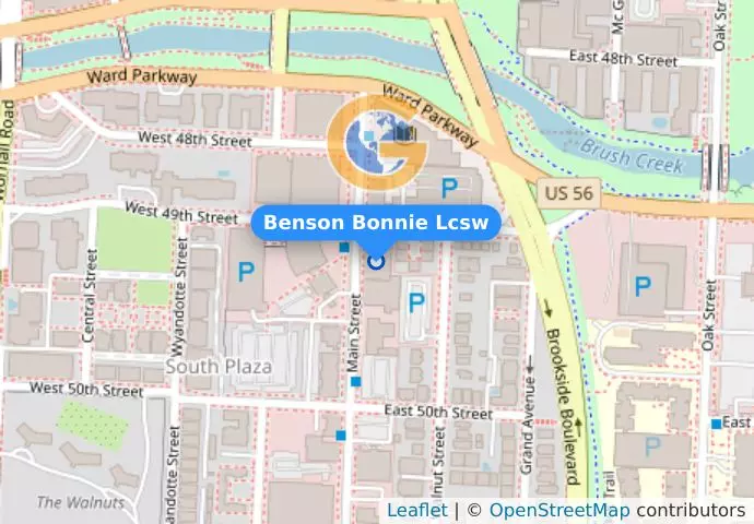 Benson Bonnie Lcsw