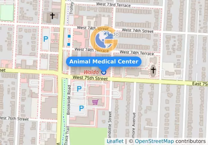 Animal Medical Center