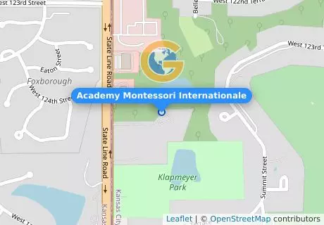 Academy Montessori Internationale