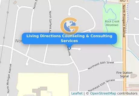 Living Directions Counseling & Consulting Services
