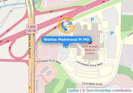 Wahba Mahmoud M MD
