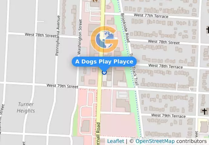 A Dogs Play Playce