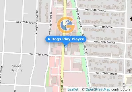 A Dogs Play Playce