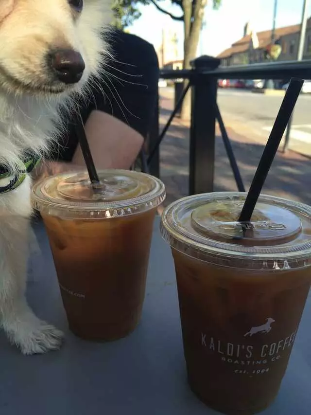 Kaldi’s Coffee