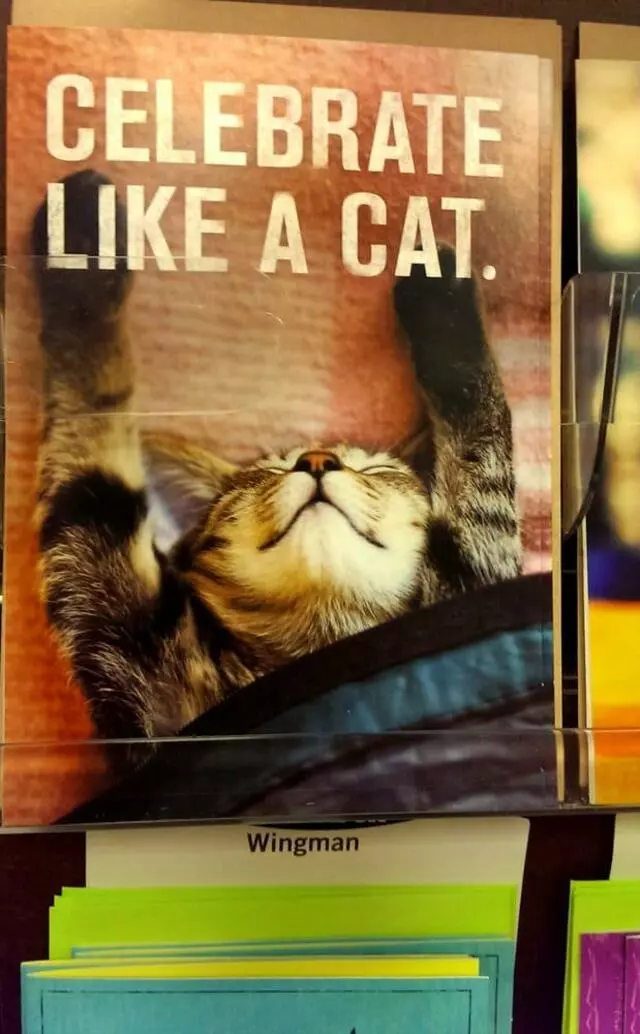 Amy’s Hallmark Shop