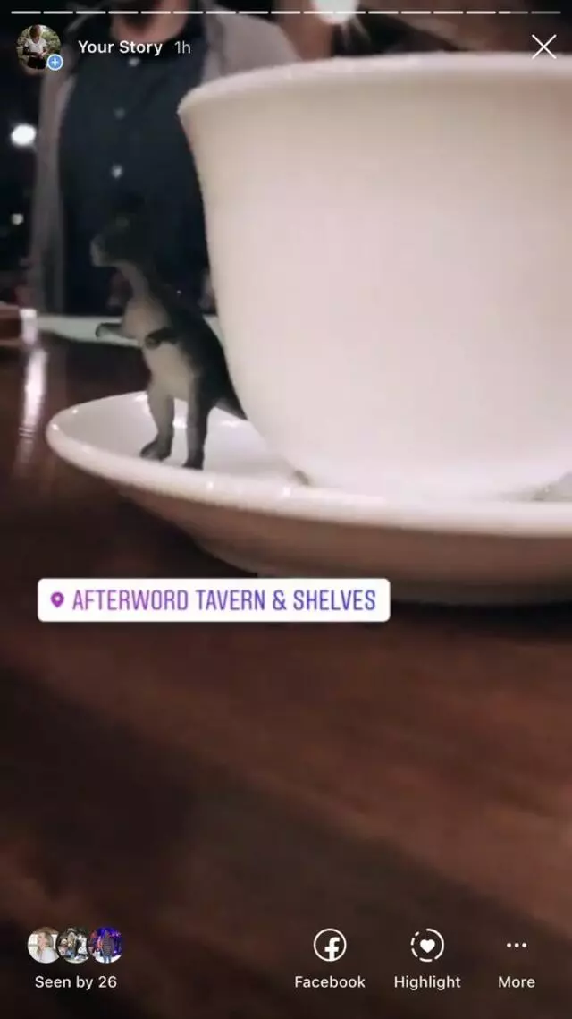 Afterword Tavern & Shelves