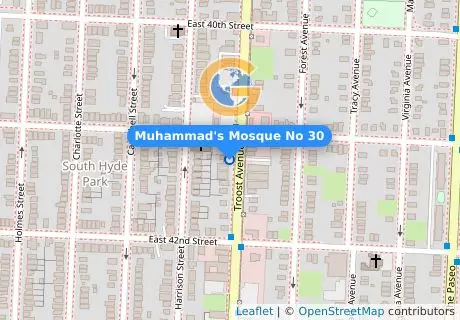 Muhammad's Mosque No 30