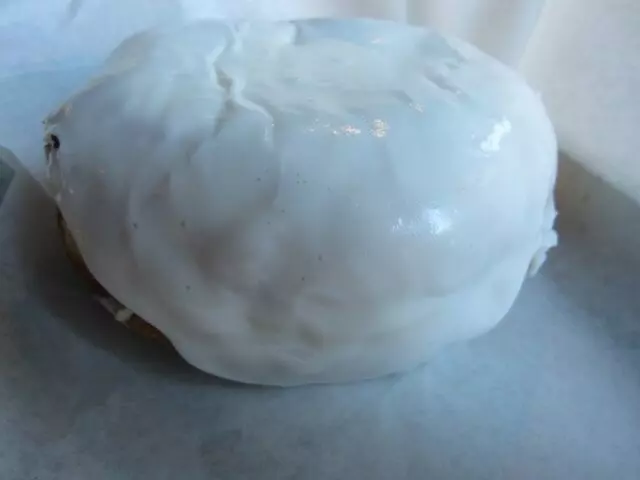 Doughnut Lounge