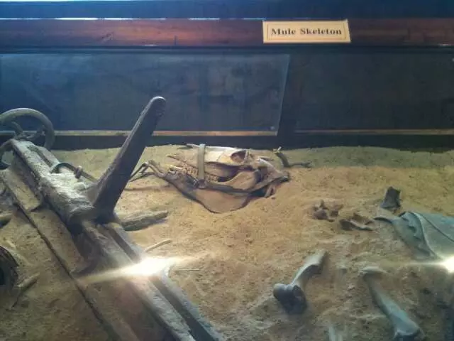 Arabia Steamboat Museum