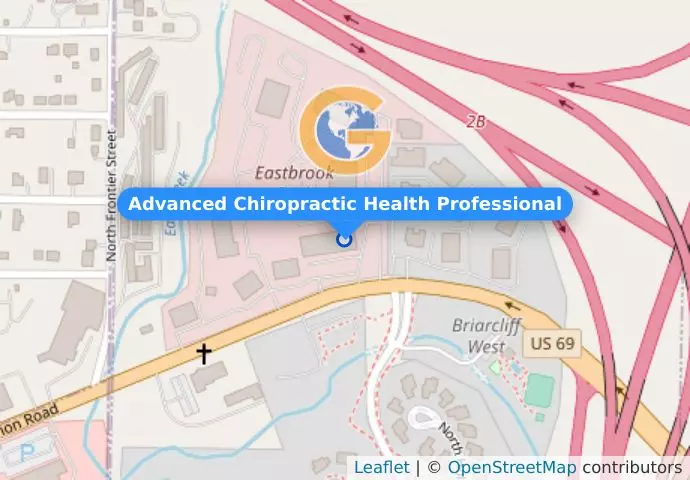 Advanced Chiropractic Health Professional