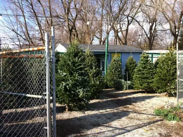 Angelo’s Nursery