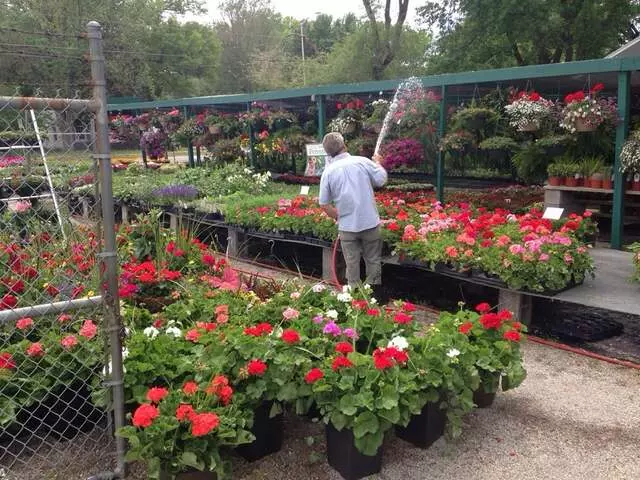 Angelo’s Nursery