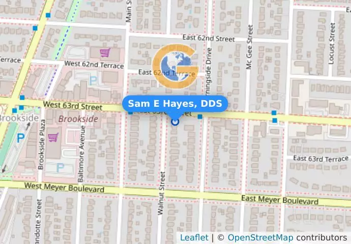 Sam E Hayes, DDS