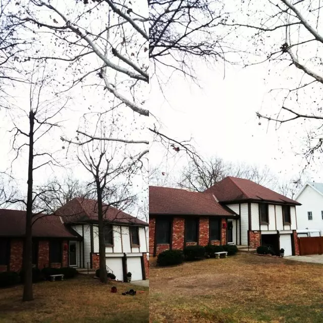 Arbest Tree Service