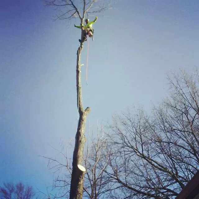Arbest Tree Service