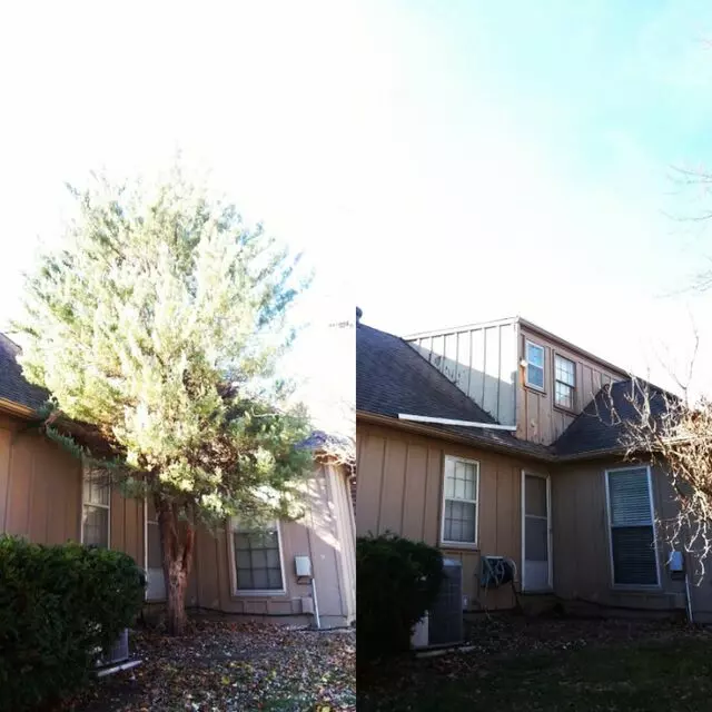 Arbest Tree Service