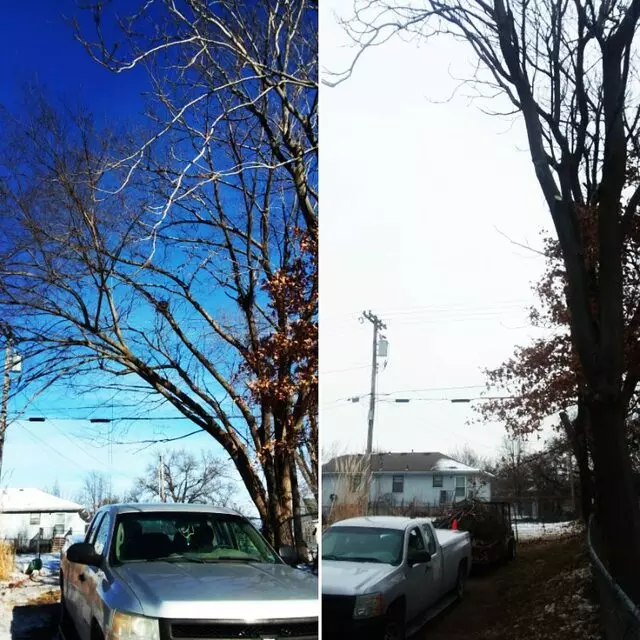 Arbest Tree Service
