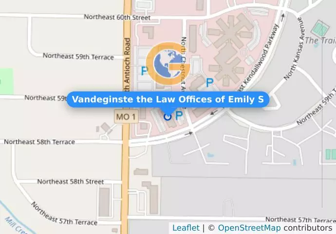 Vandeginste the Law Offices of Emily S