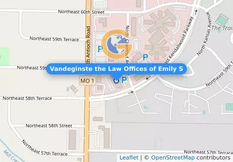 Vandeginste the Law Offices of Emily S